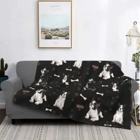 Cute Boston Terrier Velvet Blanket