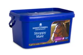 Dodson & Horrell Stroppy Mare
