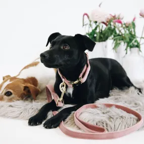 Kentucky Dogwear Velvet Dog Lead - Old Rose
