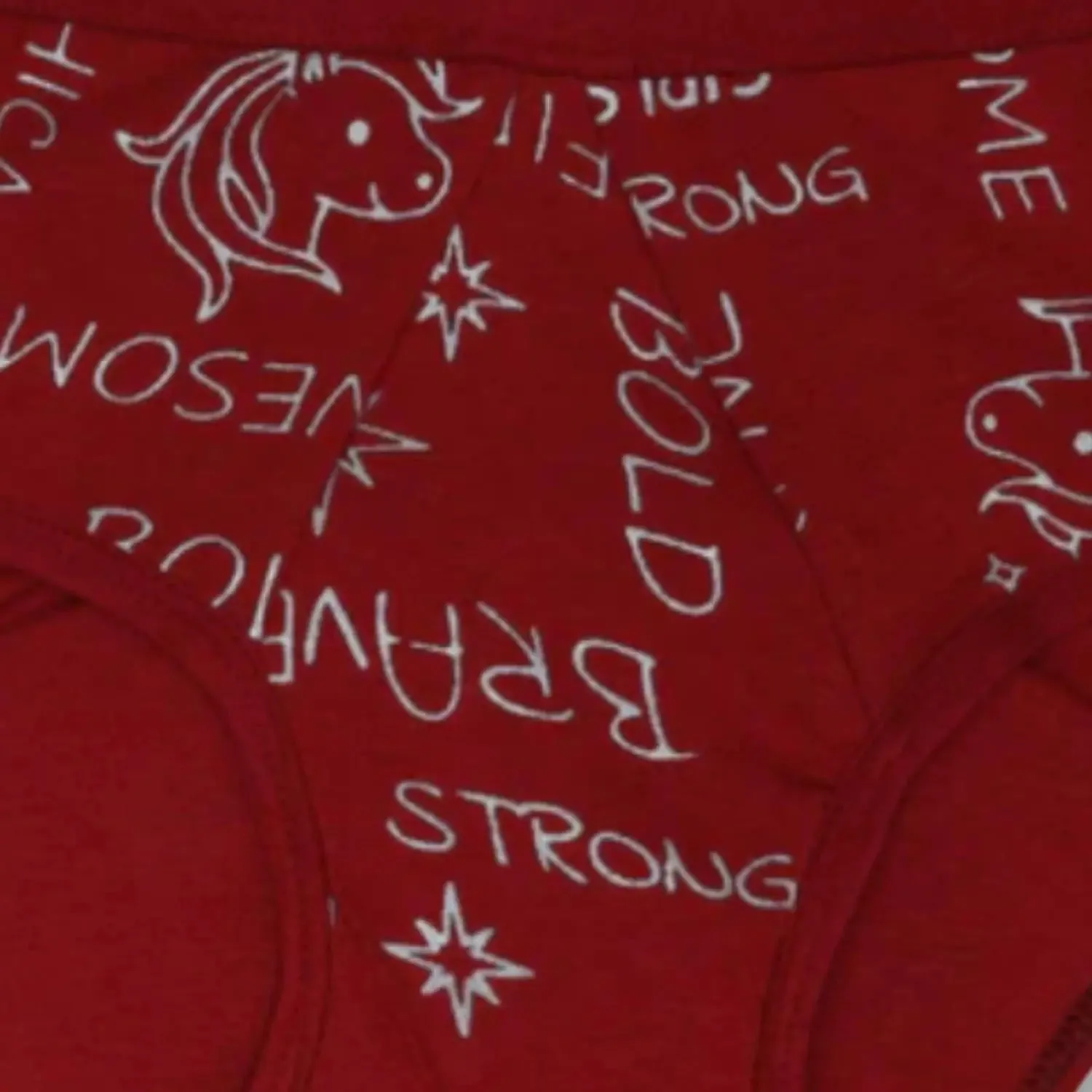 LEAKPROOF & REUSABLE PERIOD UNDERWEAR | METALLIC MAROON | ANTIMICROBIAL LINING | NO PAD NEEDED