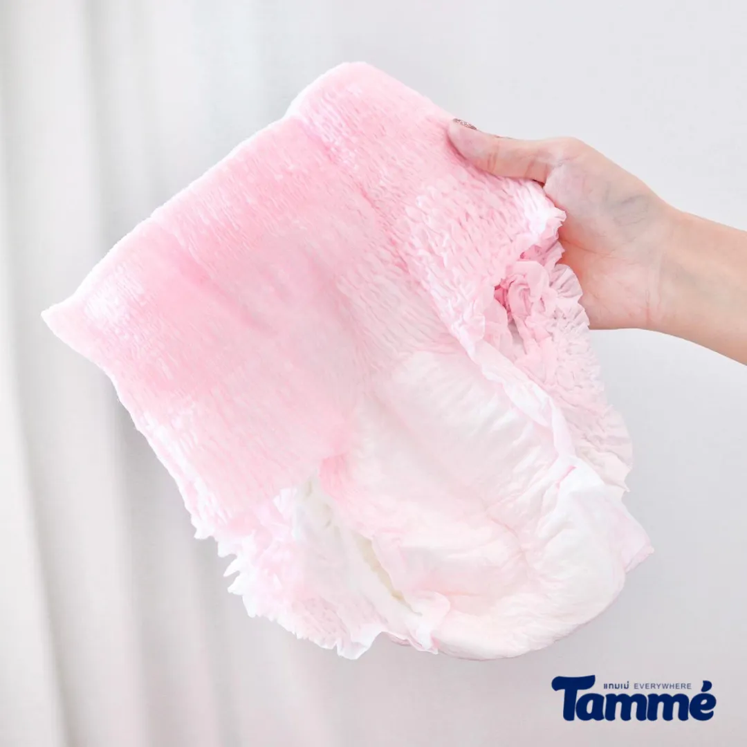 Tammè Menstrual Post Maternity Diaper Panty - Large